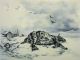 Dynamisme d‘une automobile (d‘après Russolo, Lichtenstein, la grotte de Lascaux, Warhol, la Venus de Milo, Le Bernin, Géricault) - pastel sur papier - 28,5 x 21 cm - 10 sur 10 - 2014